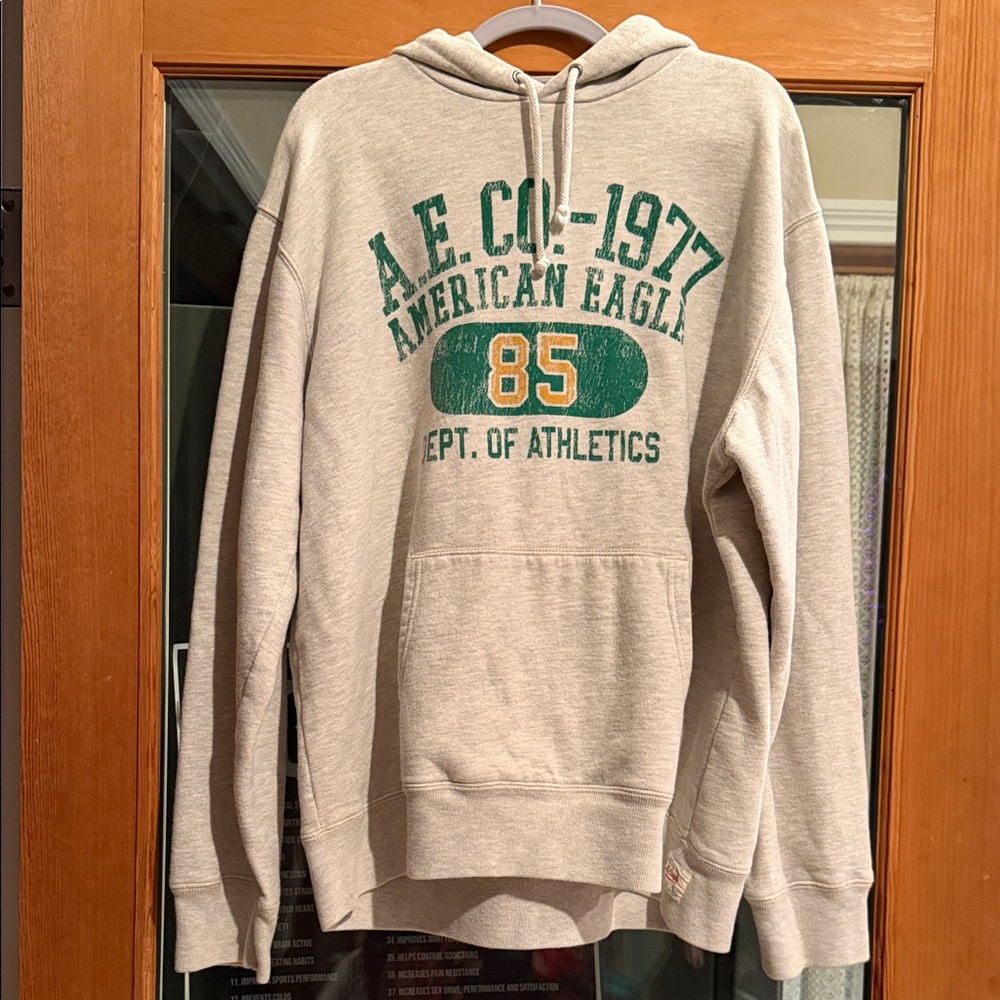 American Eagle Outfitters Light Gray Hoodie with Green Accents